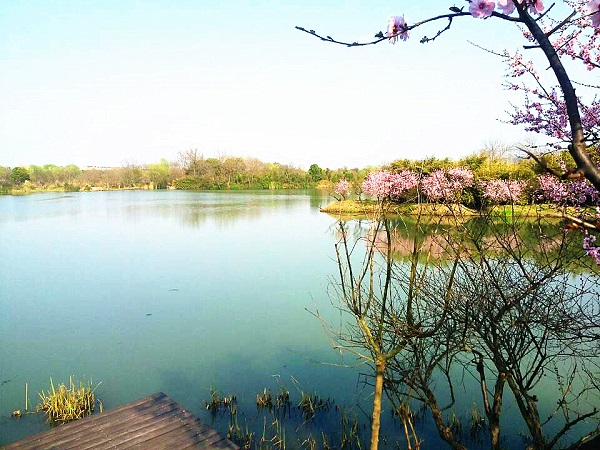 致“蟹”老友——天堂硅谷舉辦中西合璧答“蟹”宴 致“蟹”老友——天堂硅谷舉辦中西合璧答“蟹”宴